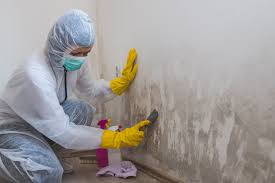 Best Industrial Mold Remediation  in Red Bud, IL